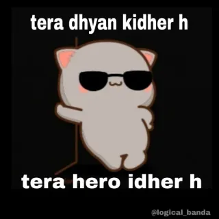 😎 tera dhyan kidher h
tera hero idher h gato, gafas de sol, lindo, meme telegram sticker
