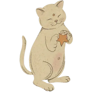 ✨ cat, star, animal, cute, pet, illustration telegram sticker