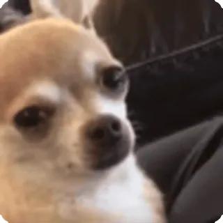 🤨
