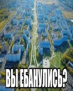 🤑 ВЫ ЕБАНУЛИСЬ? russian, offensive, phrase, question, city, urban whatsapp sticker