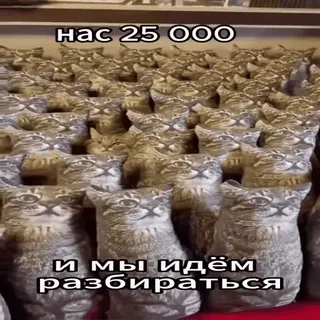 👊 нас 25 000
и мы идём разбираться chats, humour, mème, animaux, groupe whatsapp sticker