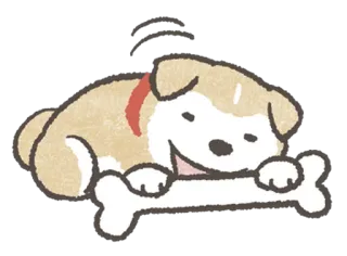 😋 cão, cachorro, osso, animal, fofo, animal de estimação whatsapp sticker