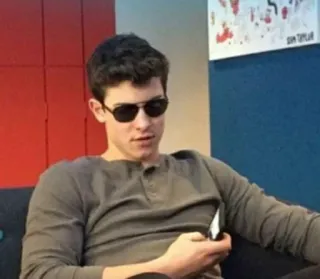 😎 Shawn Mendes celebrity, sunglasses, male, singer, musician telegram sticker