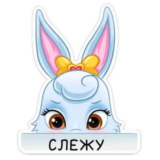 😔 СЛЕЖУ coelho, fofo, animal, espiando, observando, adesivo, desenho animado telegram sticker