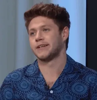 🎸 Niall Horan cantor, celebridade, músico, homem, retrato, One Direction telegram sticker