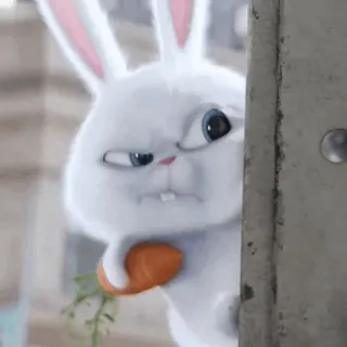 🐰 Snowball The Secret Life of Pets Hase, Häschen, Cartoon, Tier, Haustier, Karotte telegram sticker