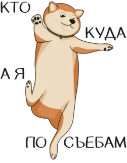💃 КТО КУДА Я ПО СЬЕБАМ 개, 러시아어, 텍스트, 웃긴, 동물 telegram sticker