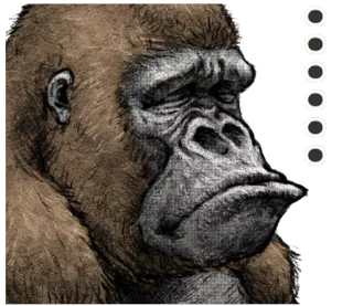 😣 горилла, обезьяна, животное, грустный, примат whatsapp sticker
