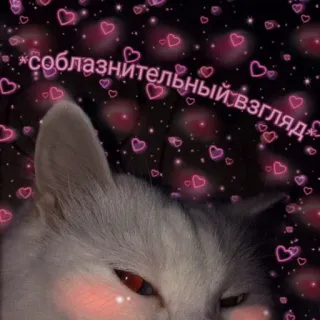 😏 *соблазнительный взгляд* แมว, หัวใจ, สีชมพู, น่ารัก, ดวงตา, แก้มแดง, ดาว whatsapp sticker