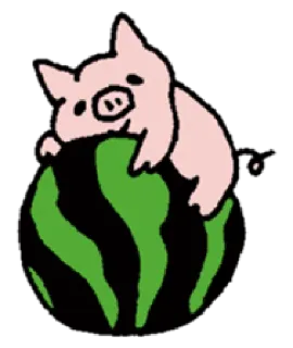 🍉 cerdo, sandía, lindo, animal, fruta telegram sticker