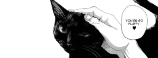 🕷 YOU'RE SO FLUFFY. chat, duveteux, animal de compagnie, mignon, anime, manga telegram sticker
