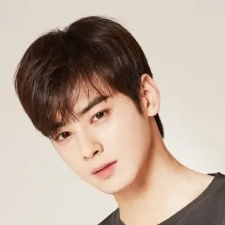 🐝 retrato, persona, hombre, asiático, coreano, guapo, actor, celebridad whatsapp sticker
