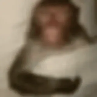 🤩