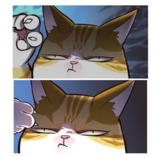 👀 고양이, 가운데 손가락, 불쾌한, 스티커, 만화, 제스처 telegram sticker