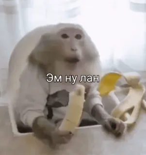 🌟 Эм ну лан monkey, banana, funny, meme, animal whatsapp sticker