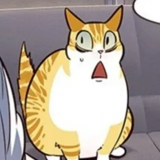 😬 고양이, 충격, 놀람, 웃긴, 귀여운, 동물 telegram sticker
