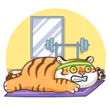💪 tiger, übung, fitness, gewichte, cartoon, tier, fitnessstudio, training telegram sticker