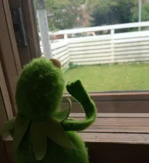 🌟 Kermit Kermit der Frosch, Muppet, Fenster, Melancholie, Sehnsucht whatsapp sticker