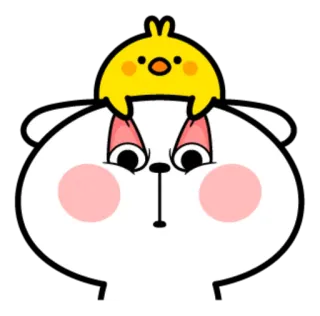 😟 Dibujo animado, Animal, Conejo, Pollo, Lindo, Pegatina whatsapp sticker