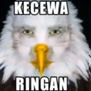 🤓 KECEWA RINGAN telegram sticker