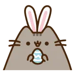 🐰