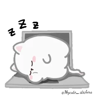 🐱 кот, ноутбук, спящий, животное, милый, мультфильм whatsapp sticker