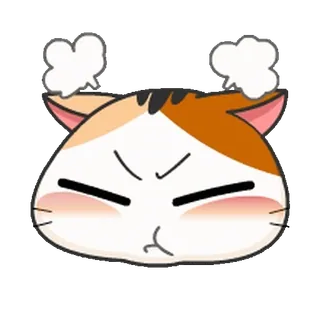 🥵 แมว, โกรธ, อารมณ์เสีย, หงุดหงิด, อิโมจิ, การ์ตูน, น่ารัก, แมวสามสี telegram sticker