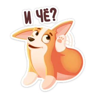 ⁉️ И ЧЁ? cachorro, corgi, fofo, pergunta, perguntando, curioso, adesivo whatsapp sticker