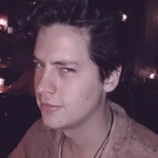 ❄️ Cole Sprouse Cole Sprouse, actor, celebridad, retrato, hombre, masculino telegram sticker