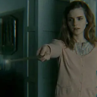 🐿 Hermione Granger Harry Potter tovenaar, magie, toverstaf, fantasie, Hermelien, Harry Potter, spreuk telegram sticker
