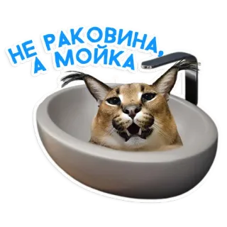 Большой Петербургский кот telegram stickers