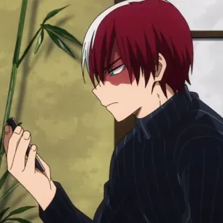 😡 Shoto Todoroki My Hero Academia Аниме, Моя геройская академия, Шото Тодороки, Тодороки, Персонаж, Герой, Манга whatsapp sticker