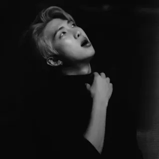 🕳 RM RM, BTS, K-pop, cantor, músico, ídolo, retrato, preto e branco telegram sticker