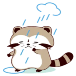 🌦 mapache, triste, lluvia, nube, clima, lindo, animal whatsapp sticker