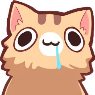 🤤 chat, mignon, animal, autocollant, kawaii, animal de compagnie telegram sticker
