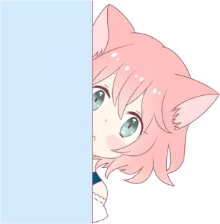 👀 ragazza anime, orecchie da gatto, sbirciando, carina, capelli rosa, cartone animato telegram sticker