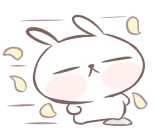 🍒 conejo, conejito, lindo, pegatina, animal, kawaii telegram sticker