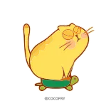 🏃‍♂️ cat, turtle, animal, cute, pet telegram sticker
