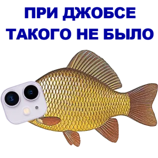 🐠 poisson, appareil photo, iphone, téléphone whatsapp sticker