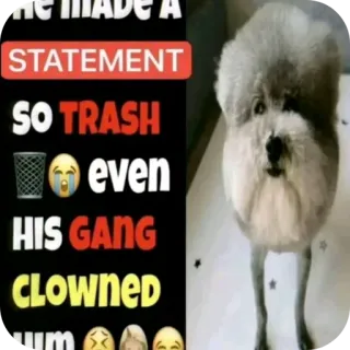 ❌ HE MADE A STATEMENT SO TRASH even HIS GANG CLOWNED HÌM whatsapp sticker