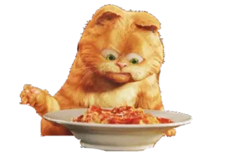 Garfield whatsapp stickers