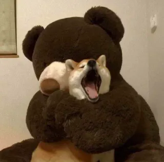 🙂 hond, shiba inu, beer, teddybeer, schattig, dier telegram sticker