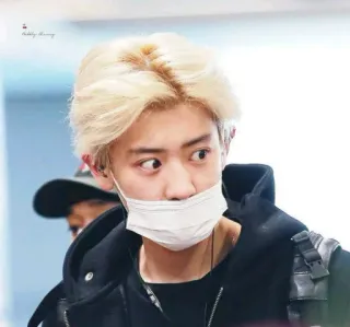 🌙 K-pop, Asiático, Celebridade, Ídolo, Pessoa, Masculino telegram sticker