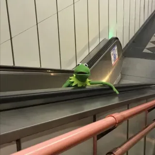 😆 Kermit kermit la rana, muppet, scala mobile, marionetta telegram sticker