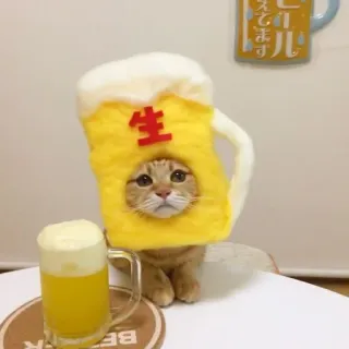 🍺 生 telegram sticker