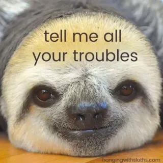 🙂 tell me all your troubles bradipo, animale, carino, meme, problemi, consigli telegram sticker