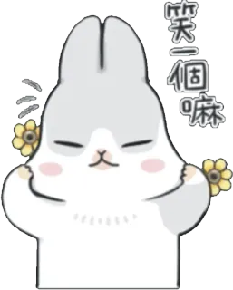 😌 笑一個嘛 konijn, schattig, dier, bloem, cartoon telegram sticker