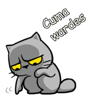 👦 Cuma wardes gato, adesivo, fofo, desenho, animal telegram sticker