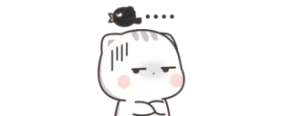 🔰 17號吃鍋 cat, angry, bird telegram sticker