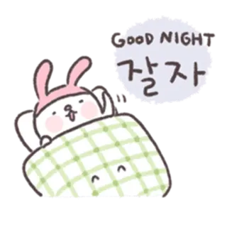 🐰 GOOD NIGH 잘자 conejo, buenas noches, lindo, dormir, cama, dibujos animados whatsapp sticker